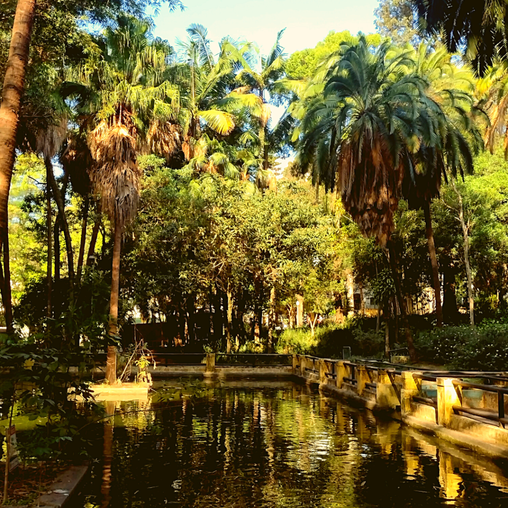 Fonte com peixes Parque da Água Branca.
