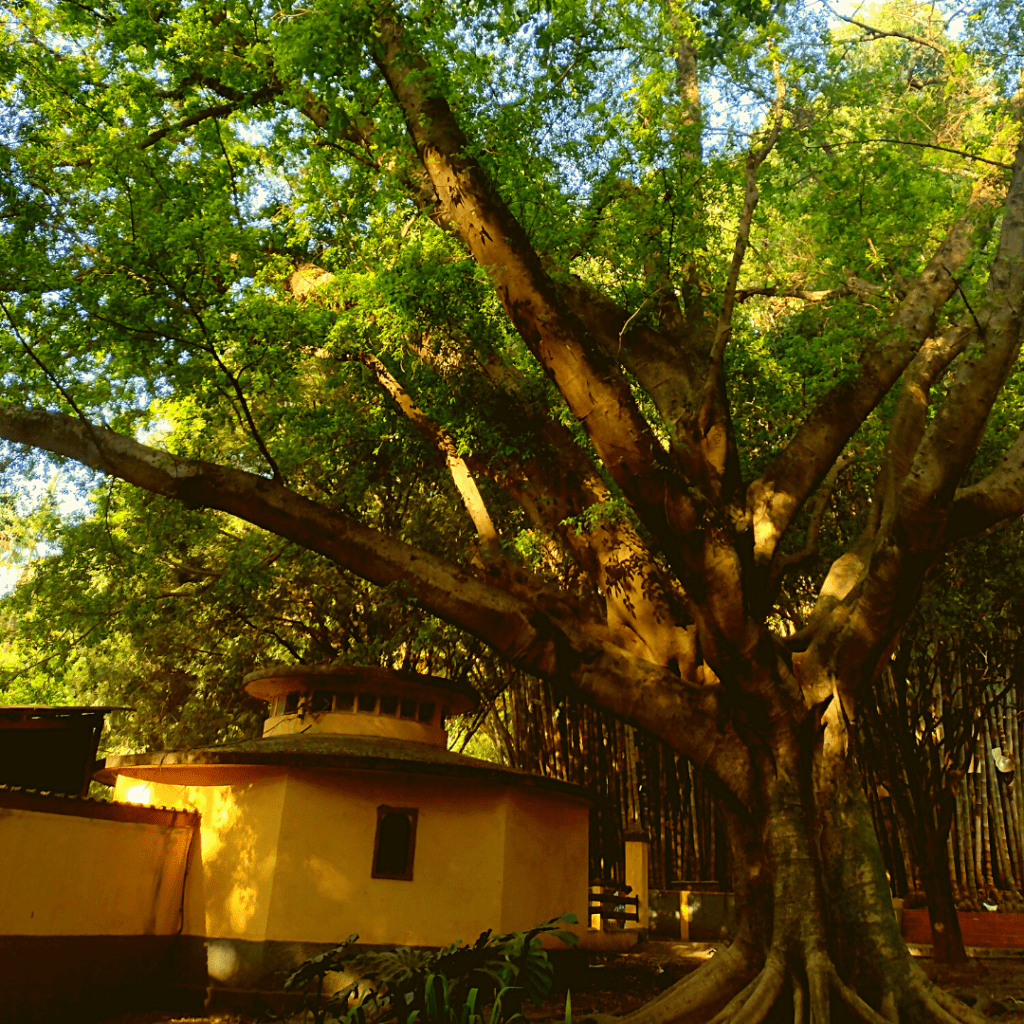 Parque da Água Branca, SP. Opção de passeio com as crianças.
