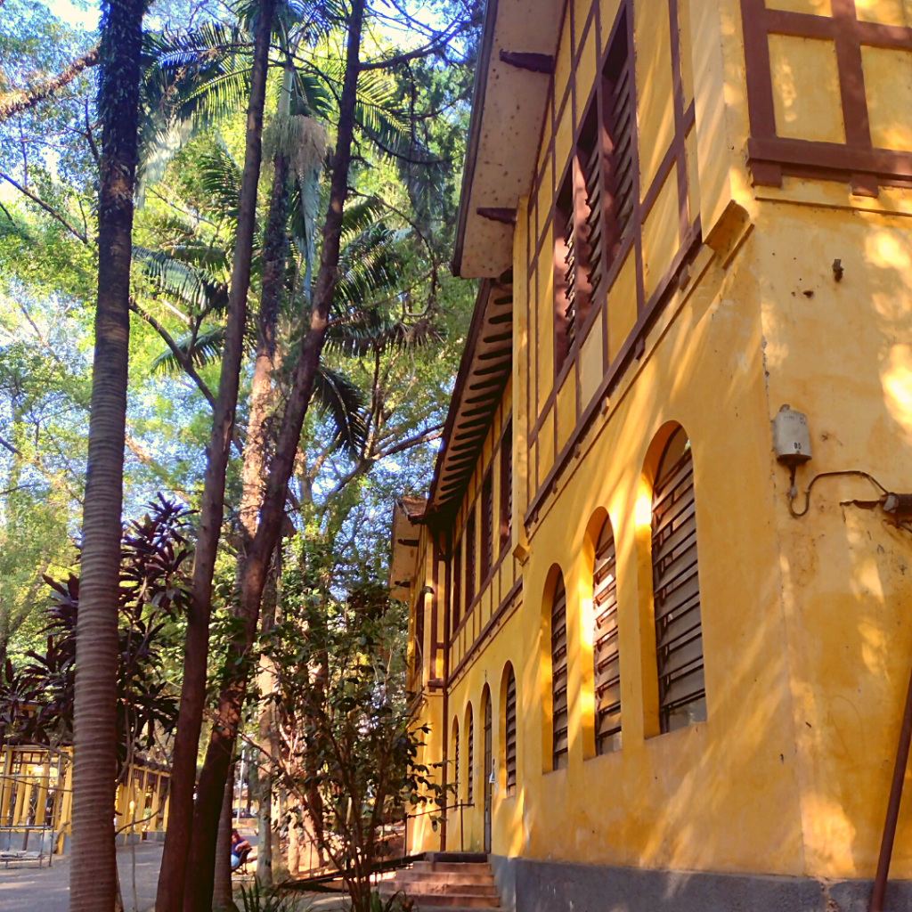 Parque da Água Branca, SP.
