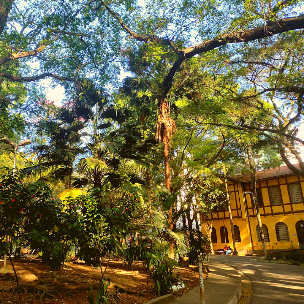 Parque da Água Branca, SP. Opção de passeio com as crianças.