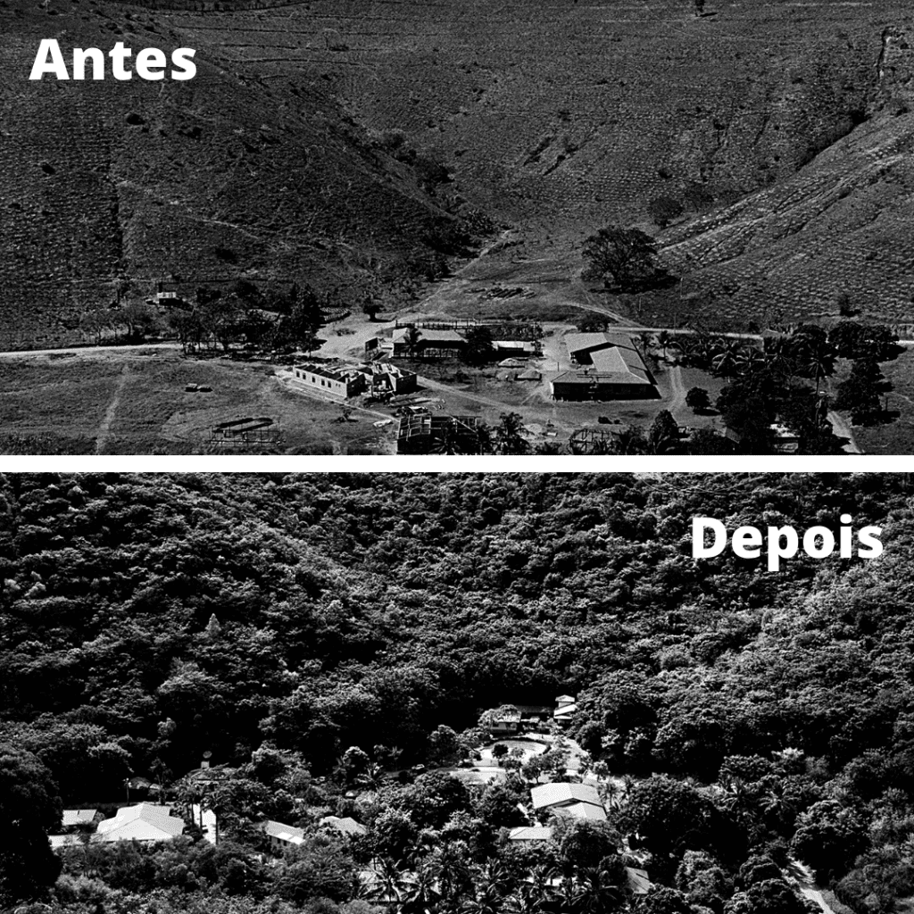 Propriedade de Sebastião Salgado em Aimorés. O antes e o depois após intervenção do casal.