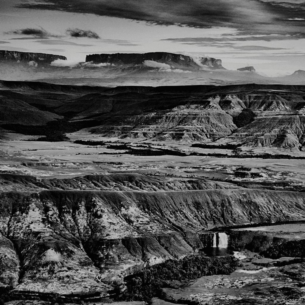 Floresta Amazônica.