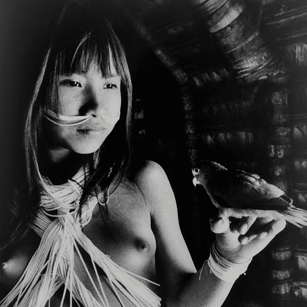 Ino Tamashavo, Yanomami.