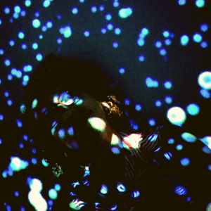 Exposição imersiva Oceanvs - Imersão em Azul no Farol Santander.