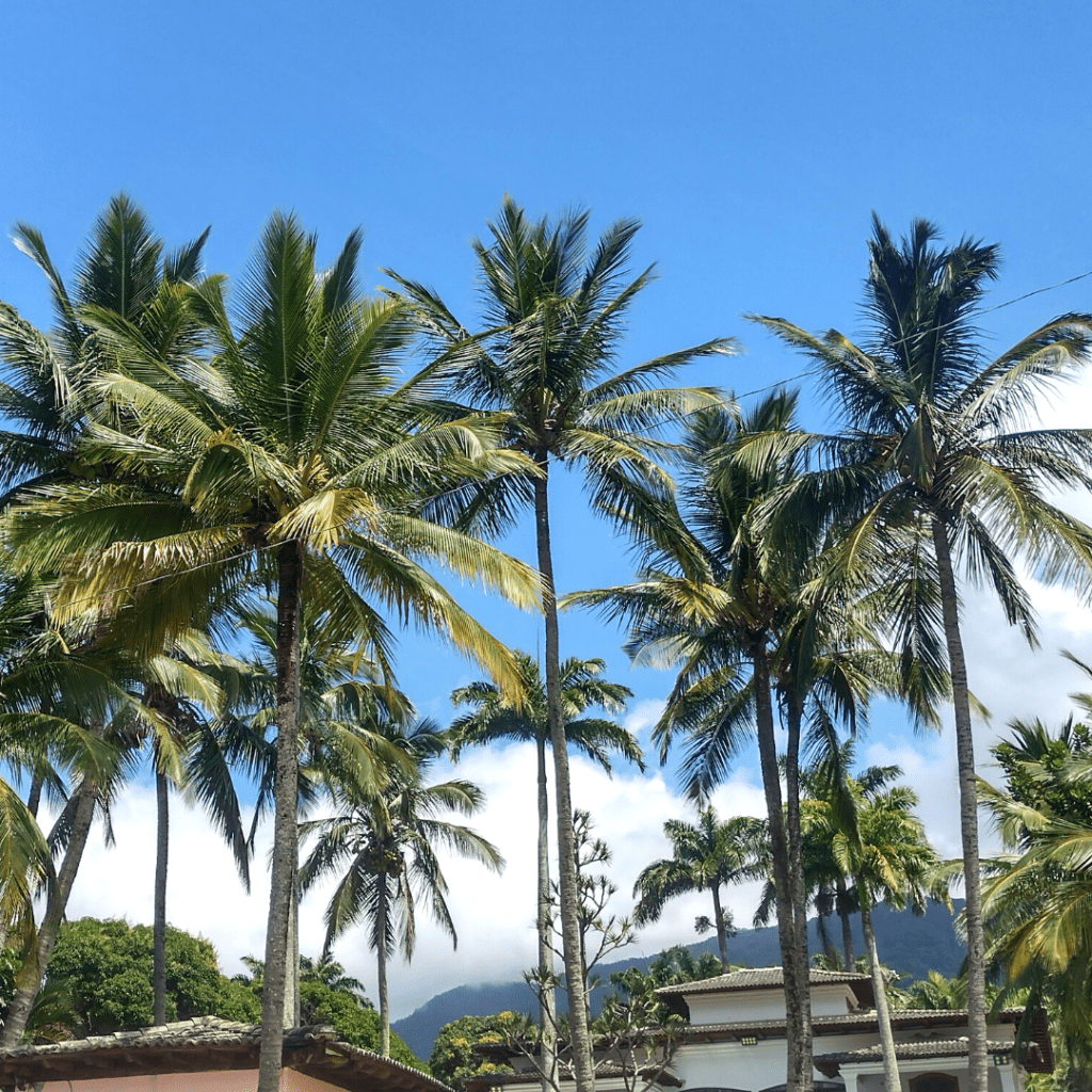 PRAIA DA OLARIA EM SÃO SEBASTIÃO