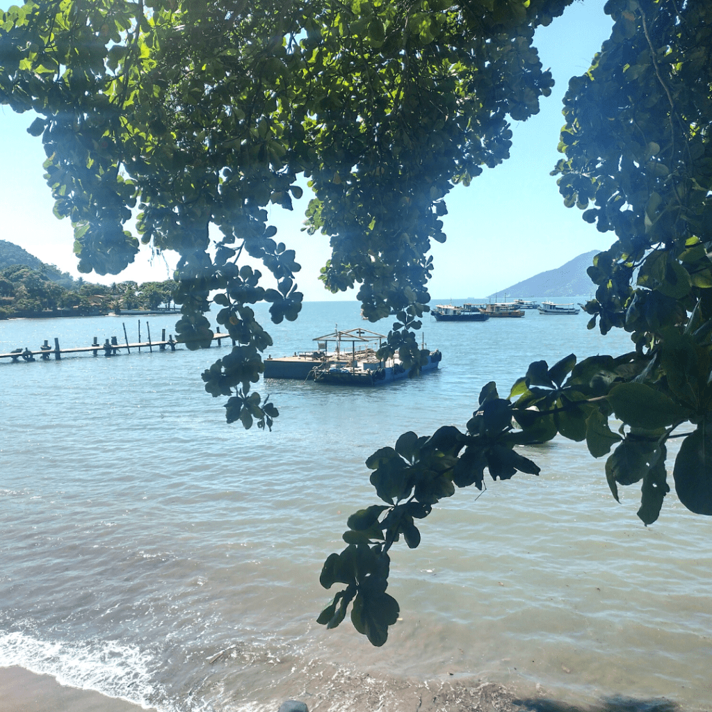 PRAIA DAS FIGUEIRAS EM SÃO SEBASTIÃO
