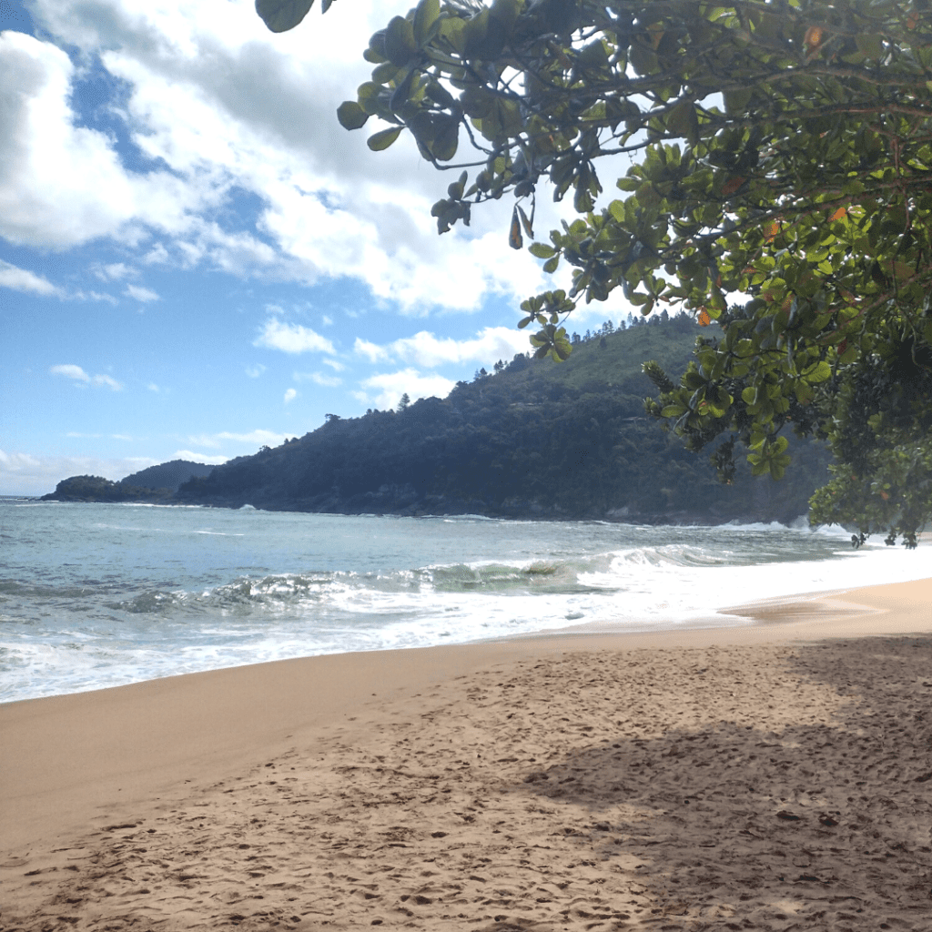 TOQUE TOQUE GRANDE EM SÃO PAULO