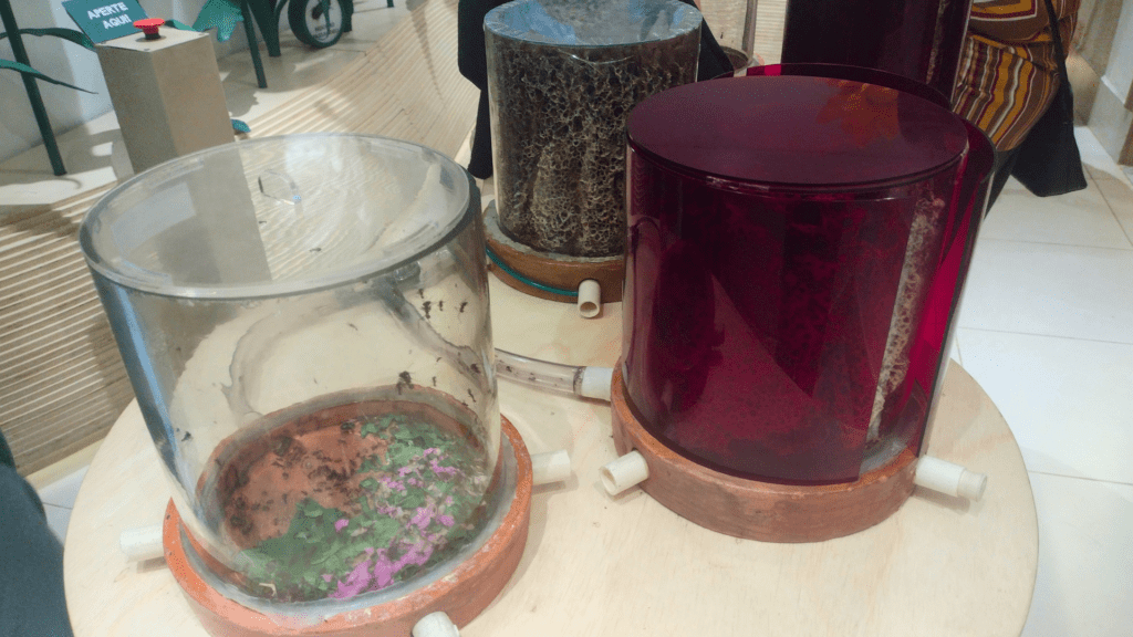 Formigas trabalhando no Planeta Inseto