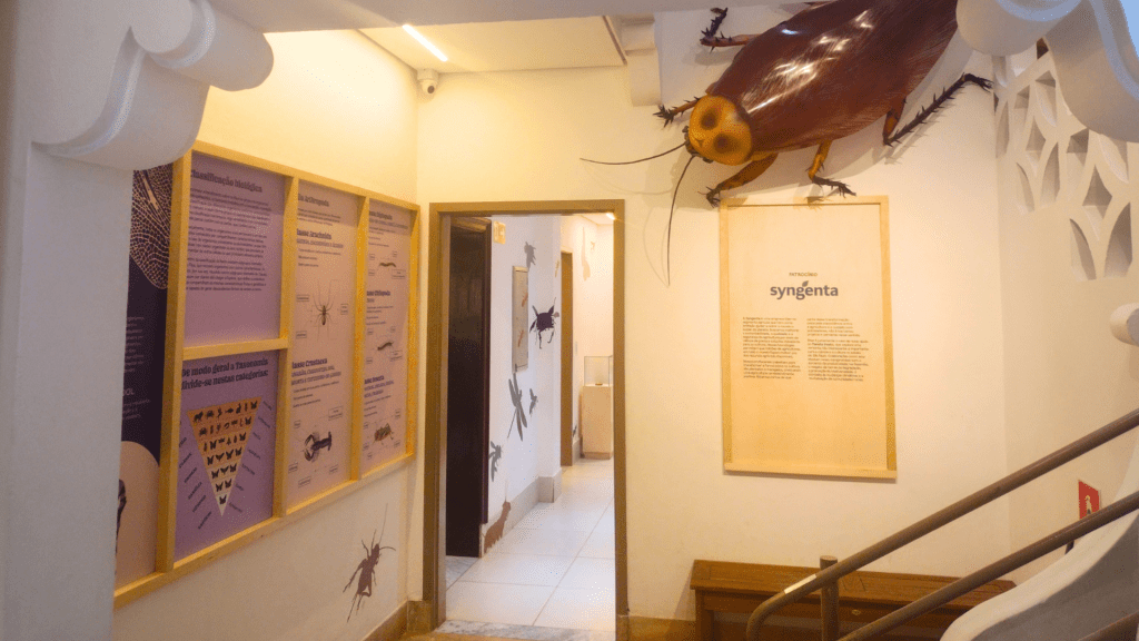 Barata gigante no Planeta Inseto