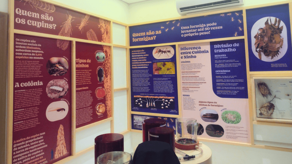 Explicações na exposição Planeta Inseto