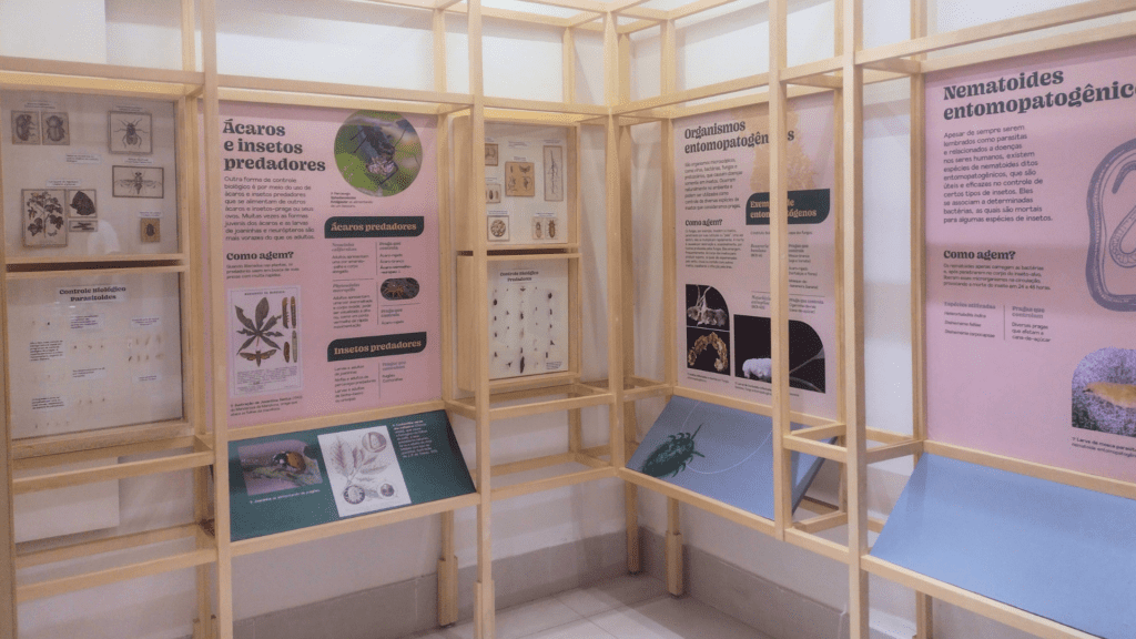 Exposição Permanente Planeta Inseto