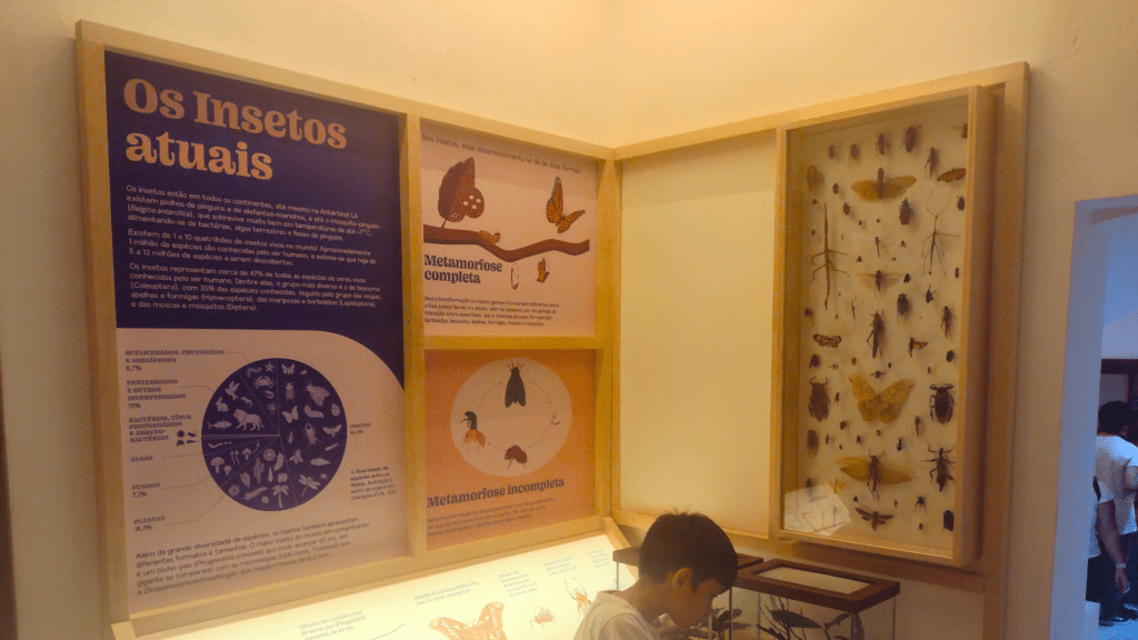 Exposição no museu do instituto biológico