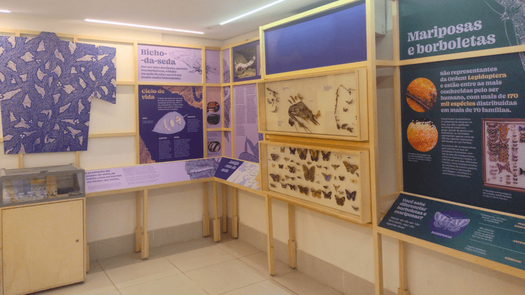 Exposição Permanente Planeta Inseto Bicho-da-seda