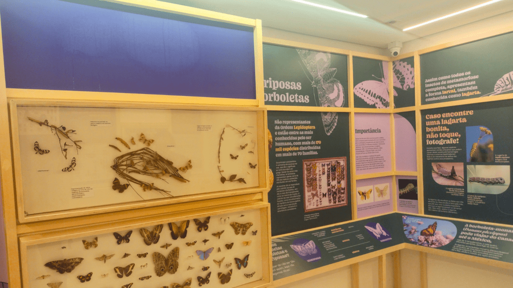 Sala da exposição Planeta Inseto