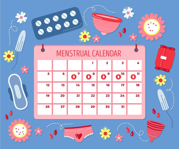 Calendário Menstrual