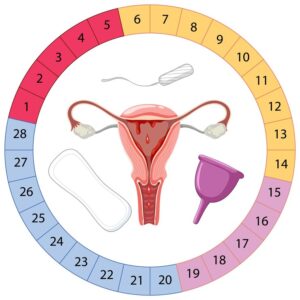 A mandala lunar e o ciclo menstrual